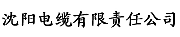 2021国内精品久久久久电缆厂logo